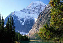 天涯论坛公务员考试：一场全民国考的网络备考江湖！